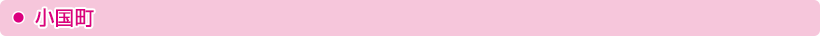 小国町