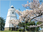 酒田日和山桜まつり