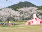 舞鶴公園桜まつり