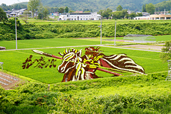 小野川温泉近くの田んぼアート