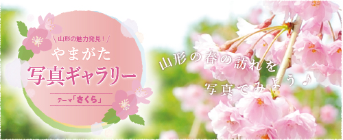 山形の魅力再発見。やまがた写真ギャラリー。テーマ「さくら」