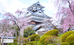 上山城と桜