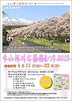 中山河川公園桜まつり2019