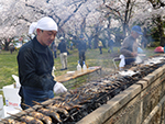 楯山公園桜まつり